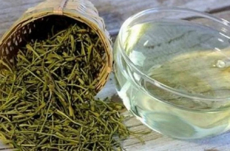 Το βότανο που κάνει θαύματα και εξολοθρεύει τον ιό της γρίπης!